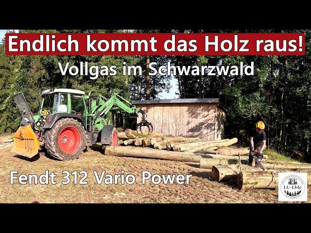 Endlich kommt das Holz raus! Vollgas im Schwarzwald - Fendt 312 Vario Power