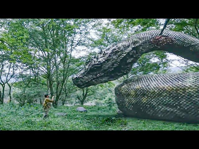 【Story Line】The little boy actually became a friend of life and death with the ancient giant snake!