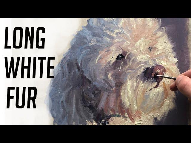 How to paint long white fur