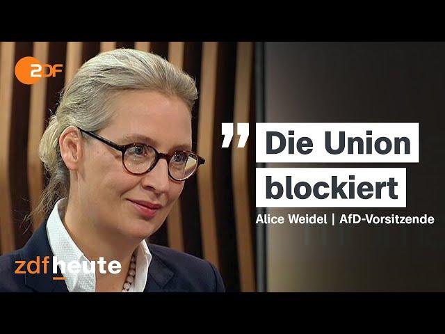 AfD-Chefin schießt gegen Merz und die Union