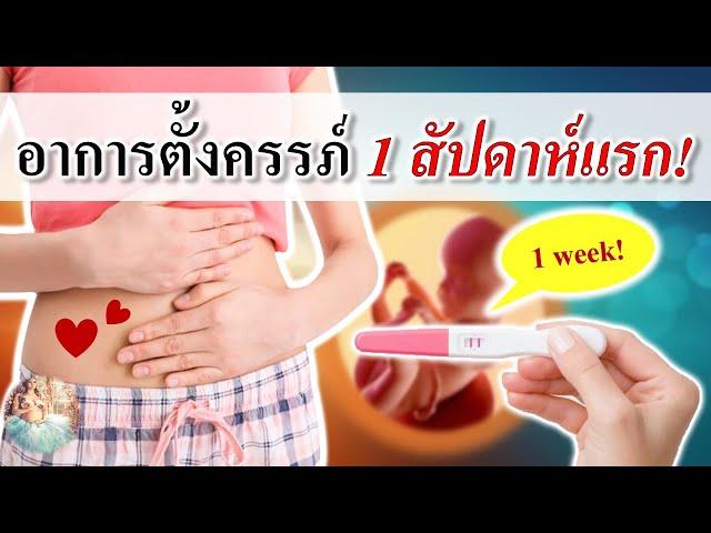 อาการคนท้อง : อาการตั้งครรภ์ 1 สัปดาห์แรก! | อาการคนท้องแรก ๆ | คนท้อง Everything