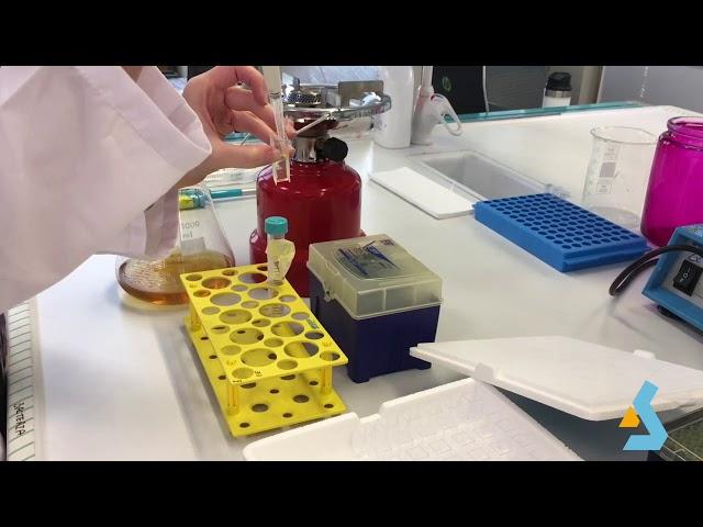 05 - Bacterial Protein Expression & Purification