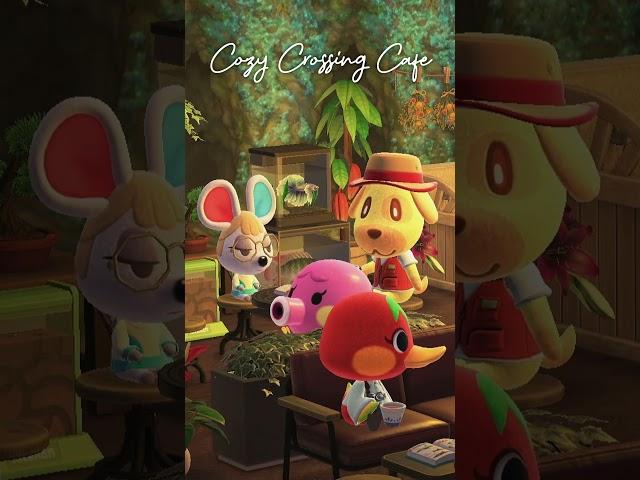 Cozy Brew ️ Nature Emporium Cafe #animalcrossing #acnh #studywithme #lofimusic #chillhop #ambience