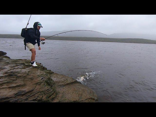 LIGHT TACKLE SPINNING FOR KOB! LURE fishing IN RIVERS AND ESTUARIES!