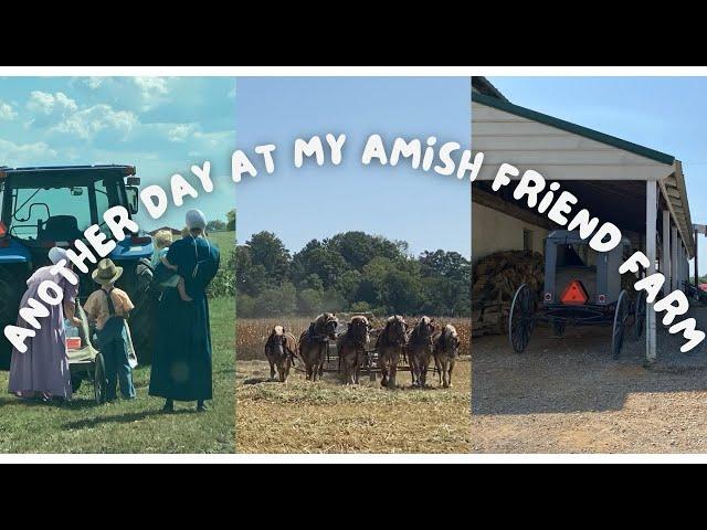 Visiting My Amish Friends Farm, Again!