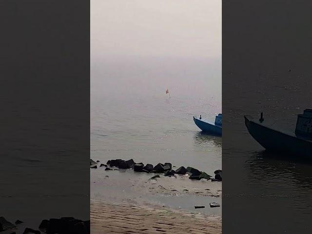 They are Escaping  Sand in traditional way.  #sealife #workout #sand #river #meghna_river #viral