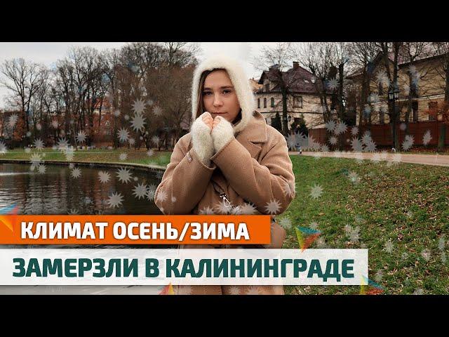 Как ВЫЖИТЬ ЗИМОЙ в КАЛИНИНГРАДЕ: дождь, ветер, холод. Погода Калининградской области