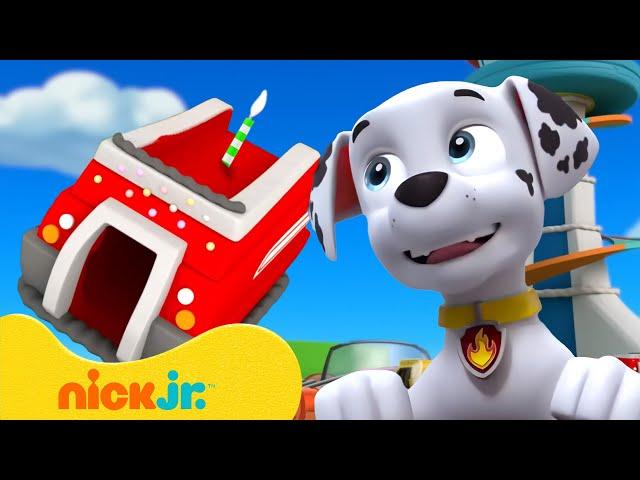 PAW Patrol Yummy Cake Adventures & Rescues!  w/ Marshall | 10 Minutes | Nick Jr.