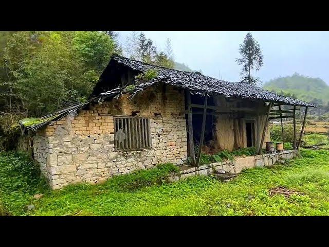 After Divorce, Single Woman Builds a Bamboo House in Mountain and Transforms the Garden for New Life