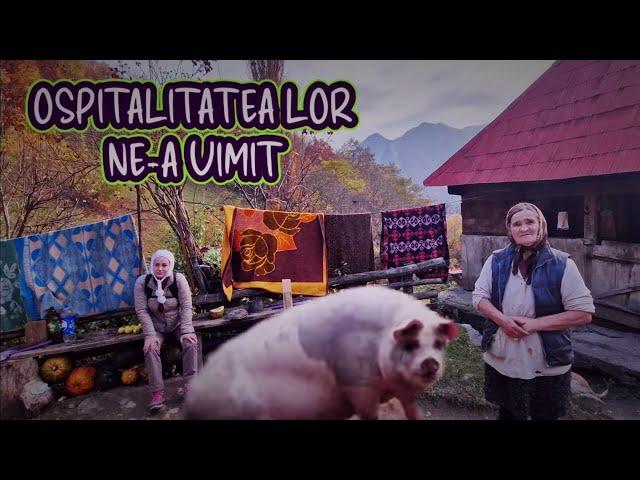 Bătrânica ne-a invitat în gospodăria ei. Are un porc de 400 de kg!