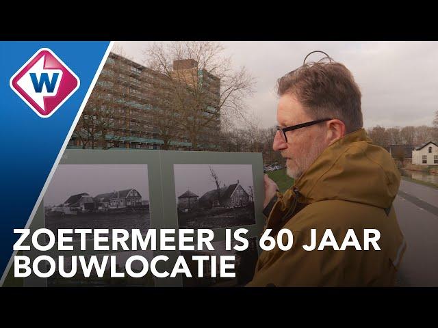 Zoetermeer viert 60-jarig bestaan als stad: 'In het begin meer koeien dan mensen' - OMROEP WEST