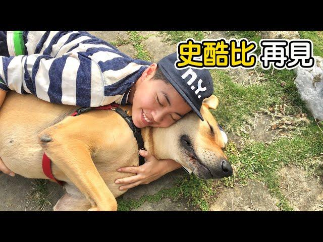 【昆蟲擾西家】最大最可愛的高山犬史酷比 我會很想很想你