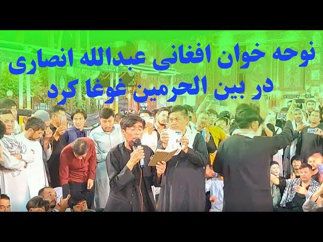 نوحه خوانی عبدالله انصاری در بین الحرمین غوغا کرد. گرد علمت مولا پروانه صفت گردم