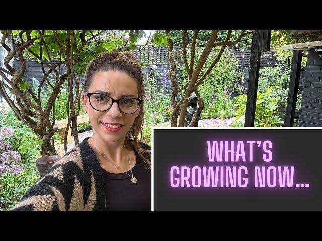 WHATS GROWING NOW- Whats growing in my June garden...
