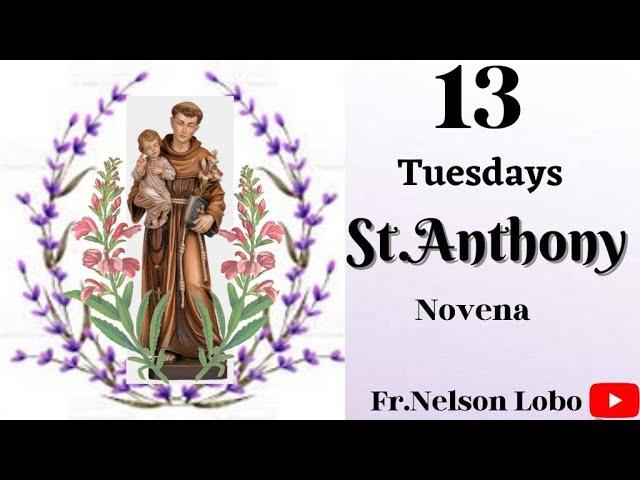 13 Tuesdays St. Anthony Novena (English) # Fr. Nelson Lobo OFM Cap