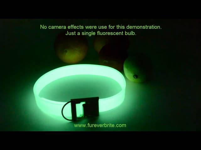 Furever Brite Safety Collar - Glowing Fruits