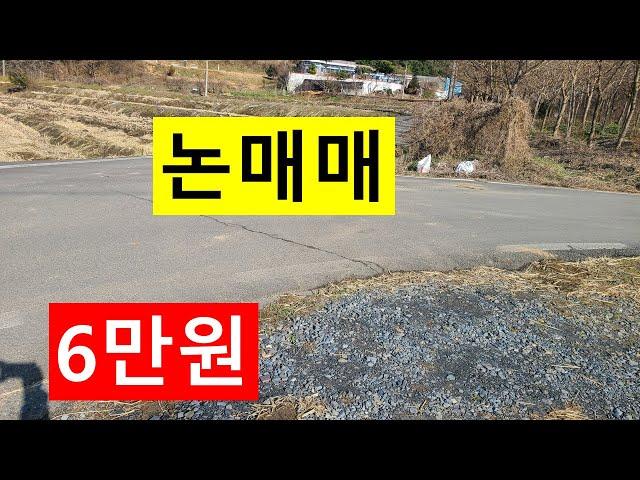 NO, 488  충남서천군판교면판교리. 논매매 6만