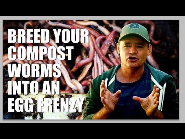 Get Your Compost Worms Breeding and Laying More Eggs