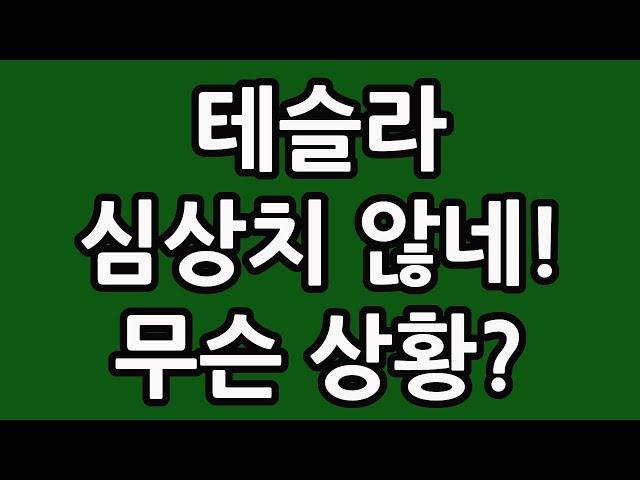 테슬라 주식 주가 전망 TSLL 삼슬라 TQQQ SOXL TMF 타이거 TIGER 차이나 전기차 엔비디아 아이온큐 니콜라 루시드 팔란티어 TSL3 214만주!