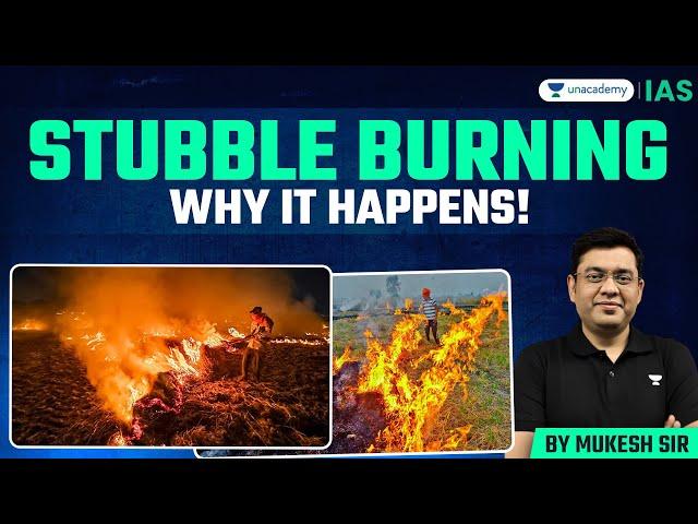 Stubble Burning: Why Farmers Set Fields on Fire Every Year?