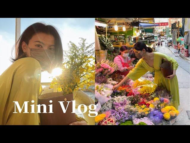 生日vlog｜米3星中环花墟买fafa