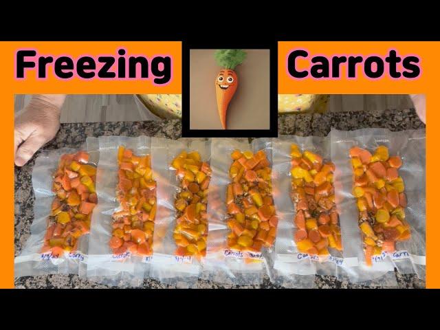 From FARM to TABLE..FREEZING FRESH ORGANIC CARROTS #freezing #preserving #carrots #organicgardening