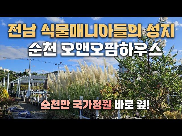 식물부터 정원관련 용품들을 모두 한 자리에서 만날 수 있는 역대급 원스톱 쇼핑센터... 부럽네요..