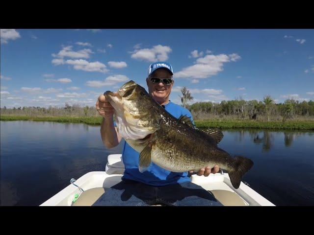 TOP 3 BIGGEST FLORIDA BASS EVER CAUGHT (compilation)