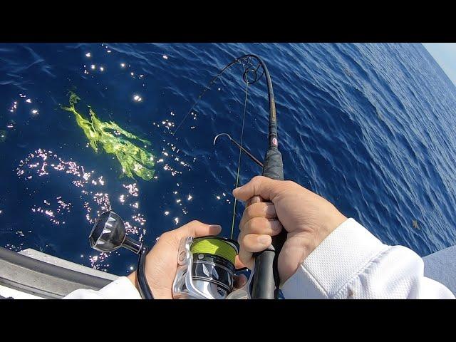 Lots Of BIG Mahi Oregon Inlet Offshore Fishing