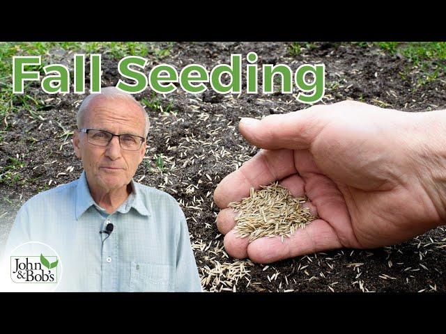 Fall Lawn Care | How To Grow Grass From Seed & Overseed In Fall