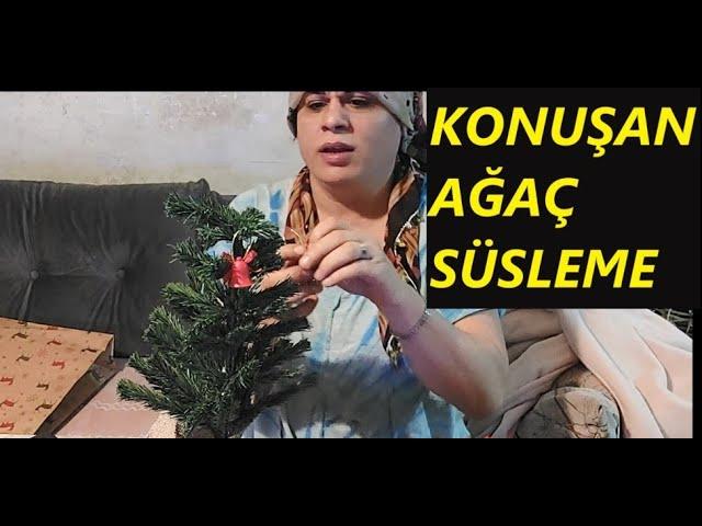 KONUŞAN YILBAŞI AĞACI