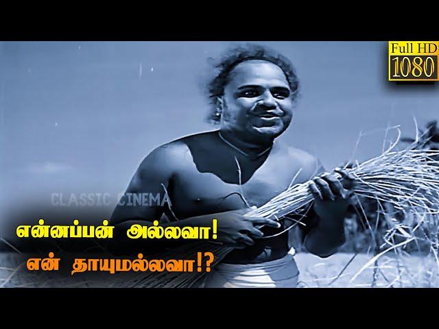 ஒரே ராத்திரில நாற்பது வேலி நிலமும் விளைஞ்சுடுச்சா?! சொப்பணம் கண்டியாடா!