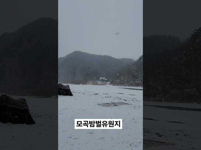 눈내리는 모곡밤벌유원지.