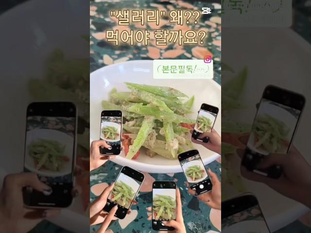 "샐러리"의 위력!!  왜?? 먹어야할까요! ️더보기필독 #샐러리효능 #자연해독제