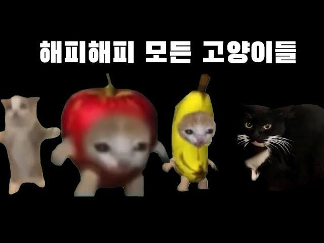 해피캣 밈에 나오는 모든 고양이들