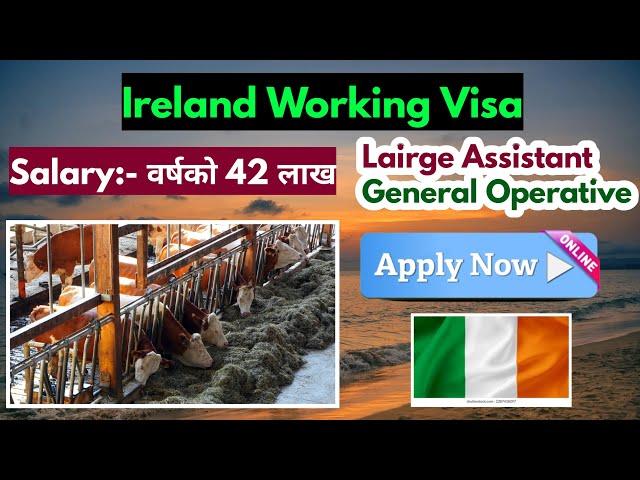 ireland working visa for nepali | how to apply ireland work visa from nepal | ireland kasari jane