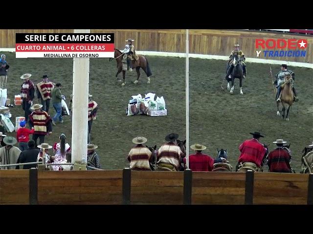 SERIE DE CAMPEONES/ RODEO INTER-ASOCIACIONES / CLUN OSORNO CANCURA /ASOCIACION OSORNO.