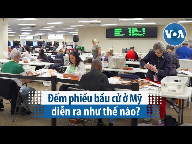 Đếm phiếu bầu cử ở Mỹ diễn ra như thế nào? | VOA Tiếng Việt