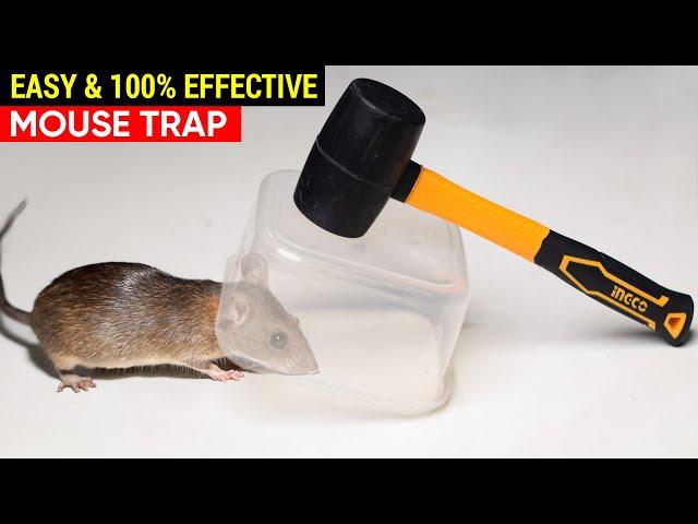 Best & Easy Mouse Trap Bucket - DIY Mouse Trap - Rat Trap Homemade