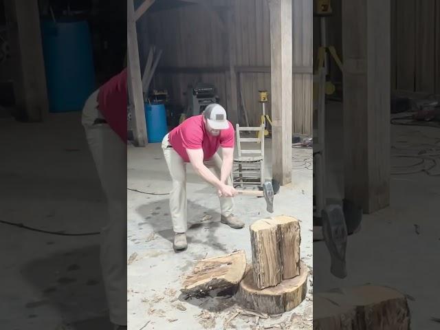 White oak firewood #firewood #whiteoak #splittingwood #satisfying #shorts