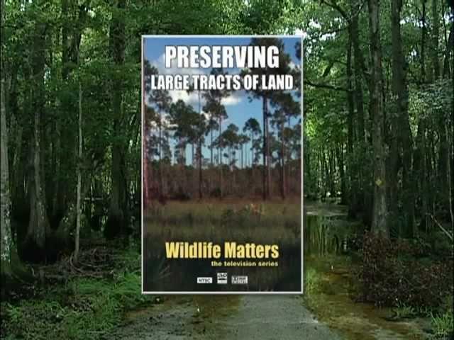 Nature Wise  - Get to Know Us