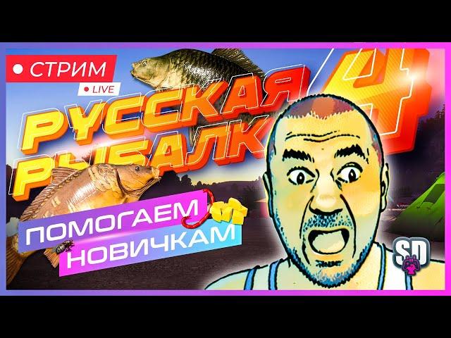 Русская Рыбалка 4 *Это Ррка?   Ага! И что мы будем делать? Будем вместе Половить :)*