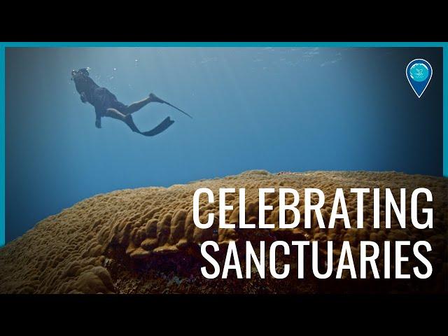 Almost 50 years of the National Marine Sanctuary System