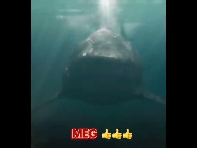 Bad Shark Movies VS Good Shark Movies #shark#jaws#shorts#themeg