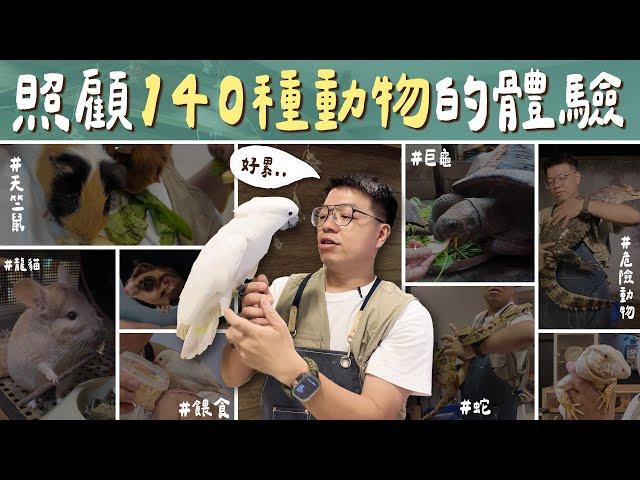 我家有個小動物園？！養140隻動物的日常就是這樣，想餵奶都困難重重...Living with 140 Animals l 蝌蚪老師與三桃