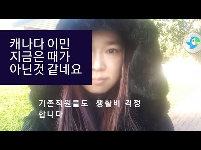 캐나다이민. 급하게 오지마세요  일단 가고보자 하시는분들