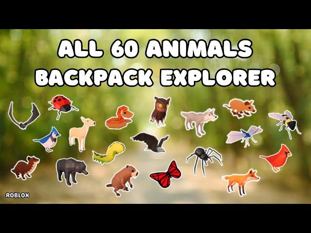 How To Find All 60 Animals in Backpack Explorer: Find the Animals | Roblox