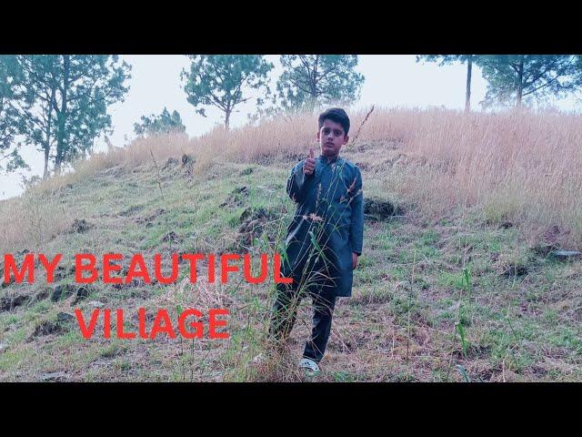 Safwan jadoon village vlog Mera village #safwanjadoon#village  #Traveling#Funnyvideo#VillageLife