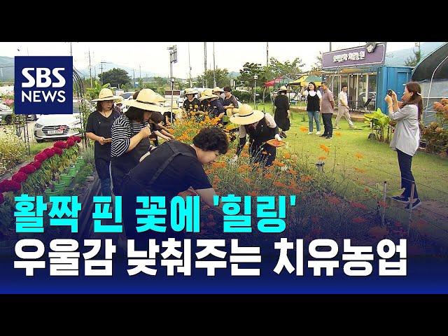 활짝 핀 꽃에 '힐링'…우울감 낮춰주는 치유농업 인기 / SBS