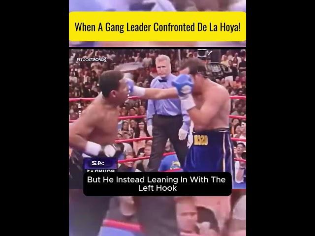 Oscar De La Hoya vs Ricardo Mayorga